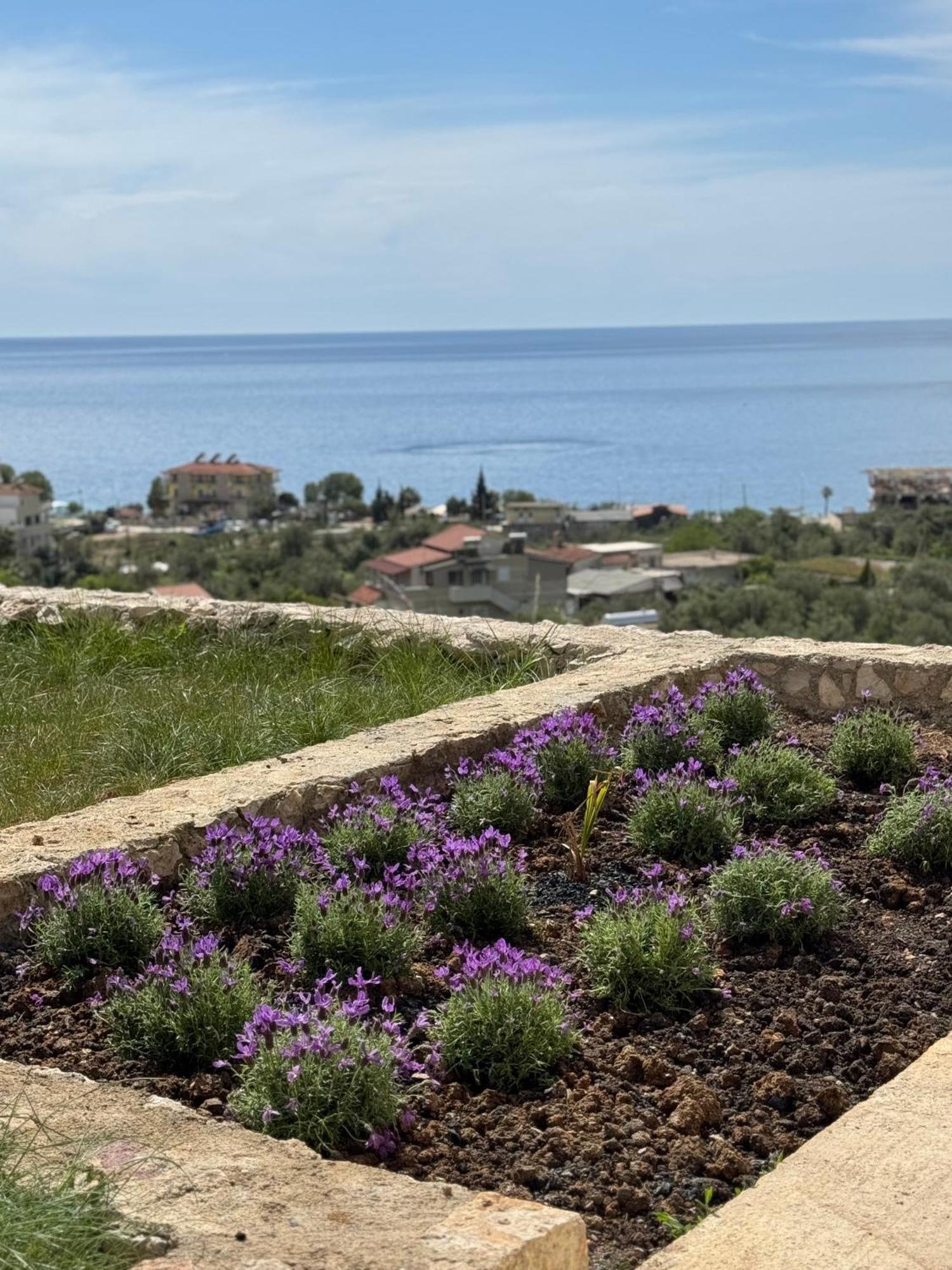 Kalesma Himare Apartment ภายนอก รูปภาพ